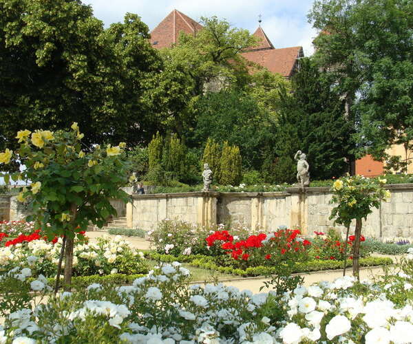 Rosengarten auf dem Schlossberg Quedlinburg (Foto: Stadt Quedlinburg, Kai Wiebensohn)