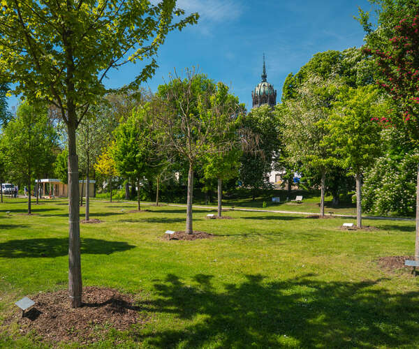 Im Luthergarten (Foto: Investitions- und Marketinggesellschaft Sachsen-Anhalt mbH)