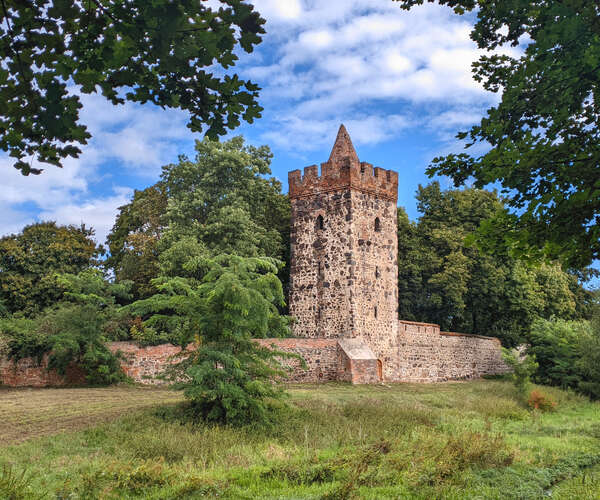 Stadtmauerturm Kiekinpott (Foto: Gartenträume Sachsen-Anhalt e. V.)
